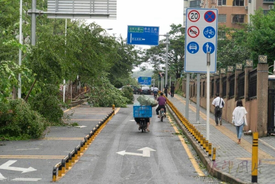 臺風暴雨天氣 看安防系統如何智慧應急